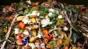 Food waste