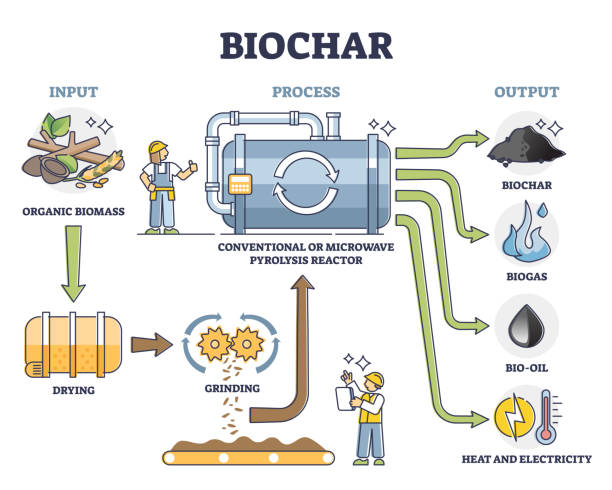 Biochar: Mengenal Lebih Dekat Arang dari Bahan Baku Biomassa zonaebt.com