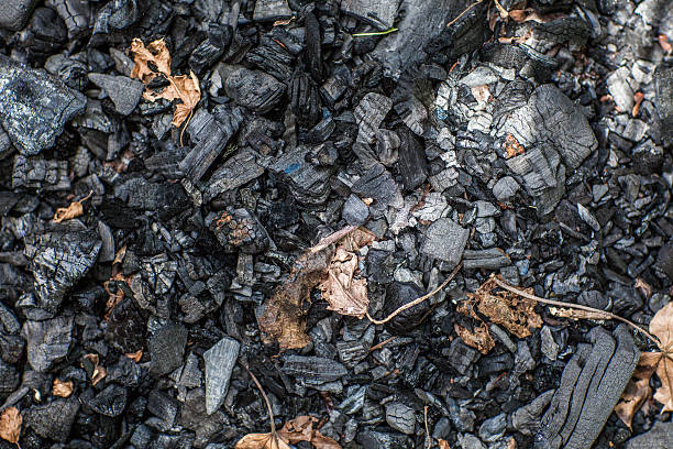 Biochar: Mengenal Lebih Dekat Arang dari Bahan Baku Biomassa zonaebt.com