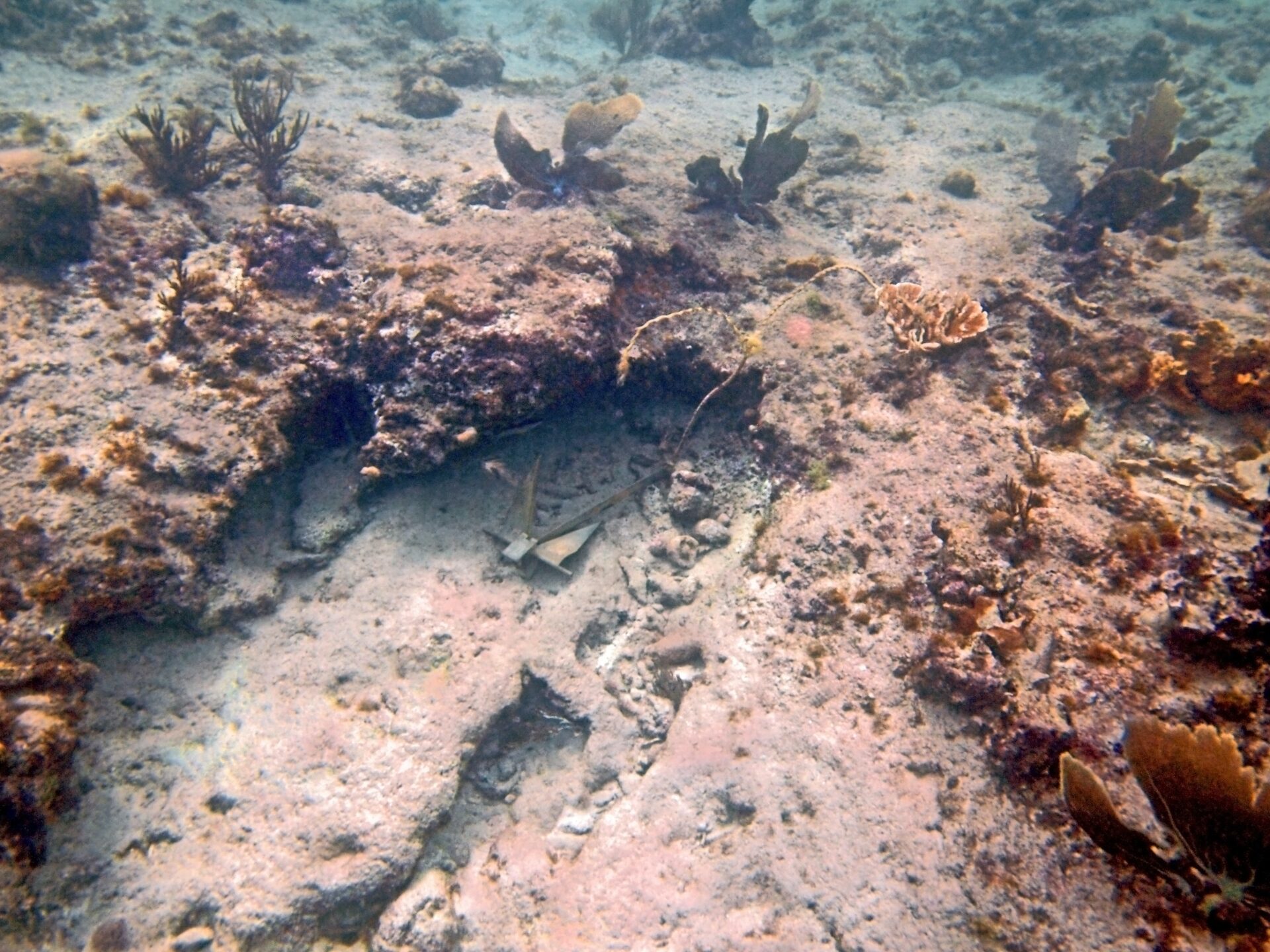 Selamatkan Laut Kita dari Bom Ikan dan Illegal Fishing zonaebt.com