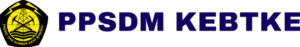 logo ppsdm partner