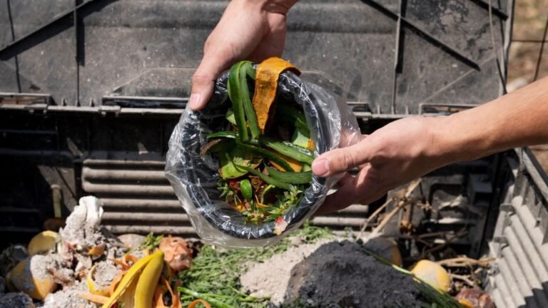 Proyek Karbon Berbasis Pengelolaan Limbah Organik melalui Biokonversi zonaebt.com