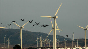 Advancing Wind Energy, No More Animal Harm zonaebt.com