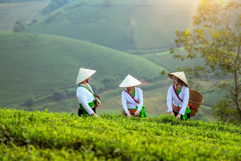 Biomassa pertanian dianggap sebagai solusi untuk menekan ketergantungan pada bahan bakar fosil dan sebagai strategi mitigasi perubahan iklim