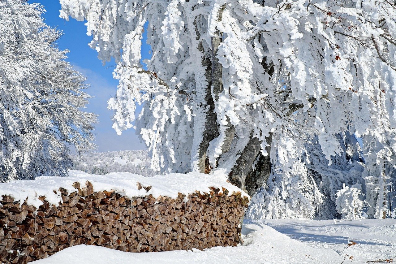 Illustration of Wood Piles in Finland Winter for the biomass material